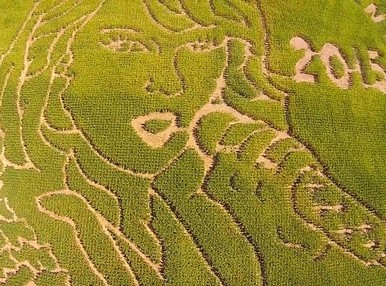 Taylor Swift, Corn Maze Taylor Swift, Corn Maze